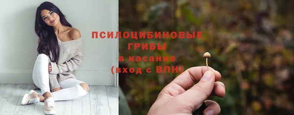 трава Балахна