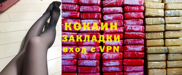 прущие грибы Покачи