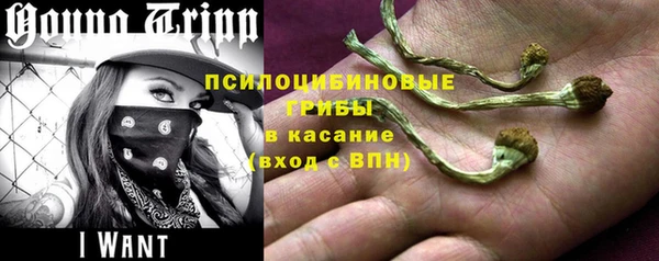 трава Балахна