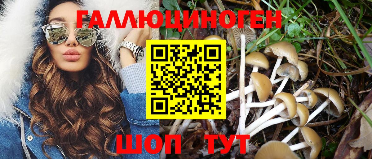 Галлюциногенные грибы Psilocybe Бахчисарай