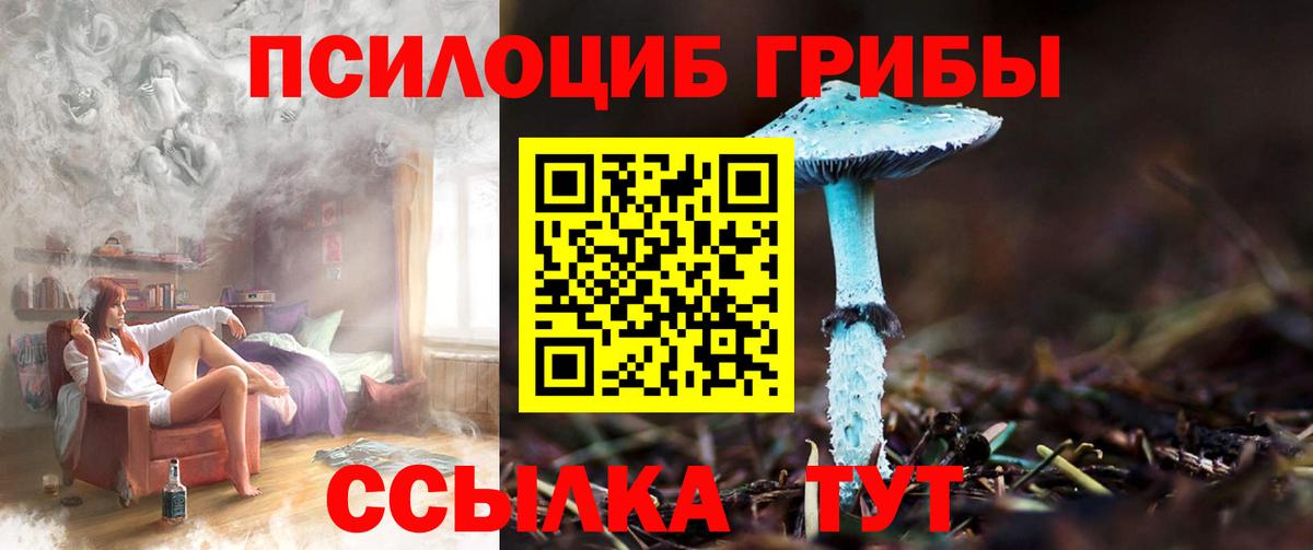Псилоцибиновые грибы прущие грибы Бахчисарай