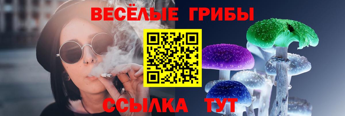 Галлюциногенные грибы MAGIC MUSHROOMS  Псилоцибиновые грибы ЛСД  Вход с VPN  Бахчисарай 
